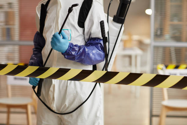Professional Sewage Cleanup technician working in Thrall, TX
